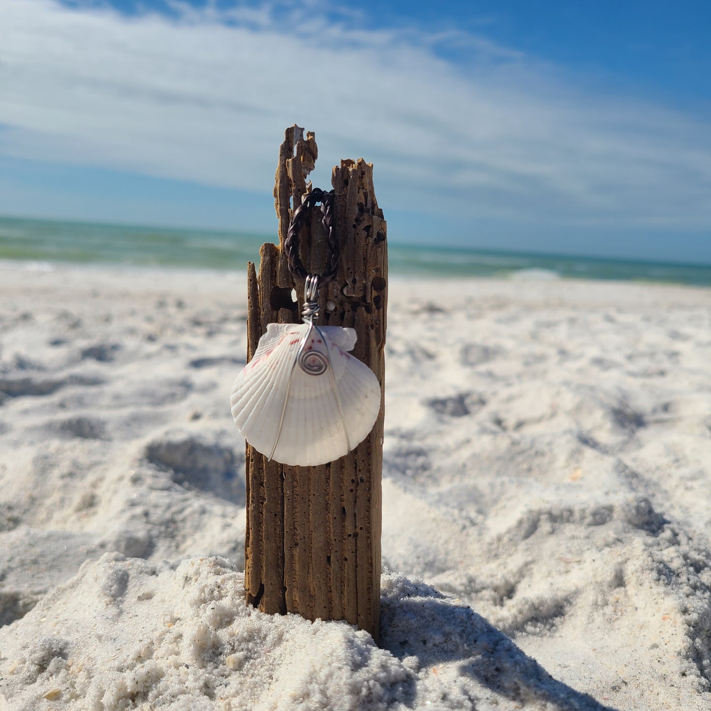 Stunning Scallop Shell Necklace