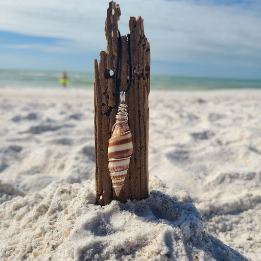 Wrapped Miter Sea Shell Necklace