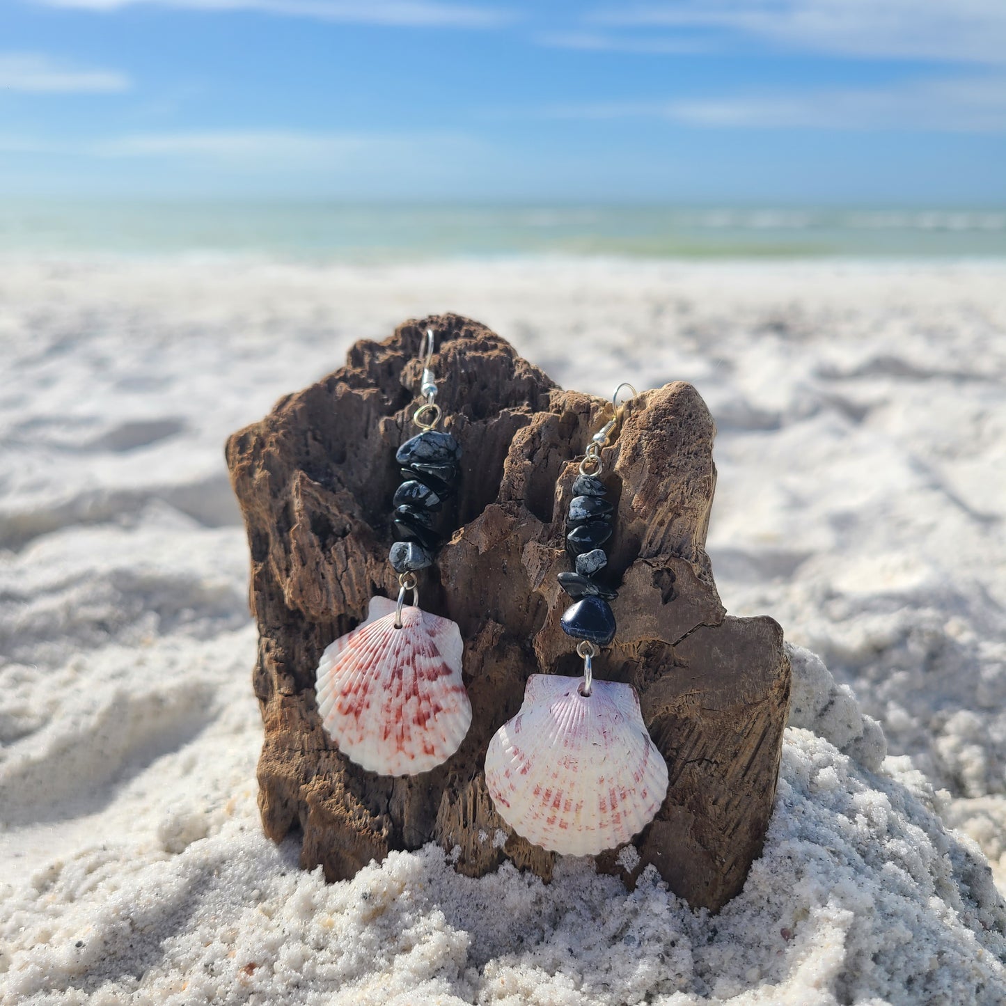 White/Calico Scallop Shell with Black Accents Earrings