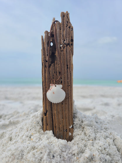 Baby Scallop Shell Necklaces