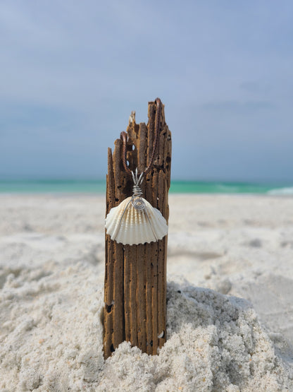 Simple White Arc Shell Necklace