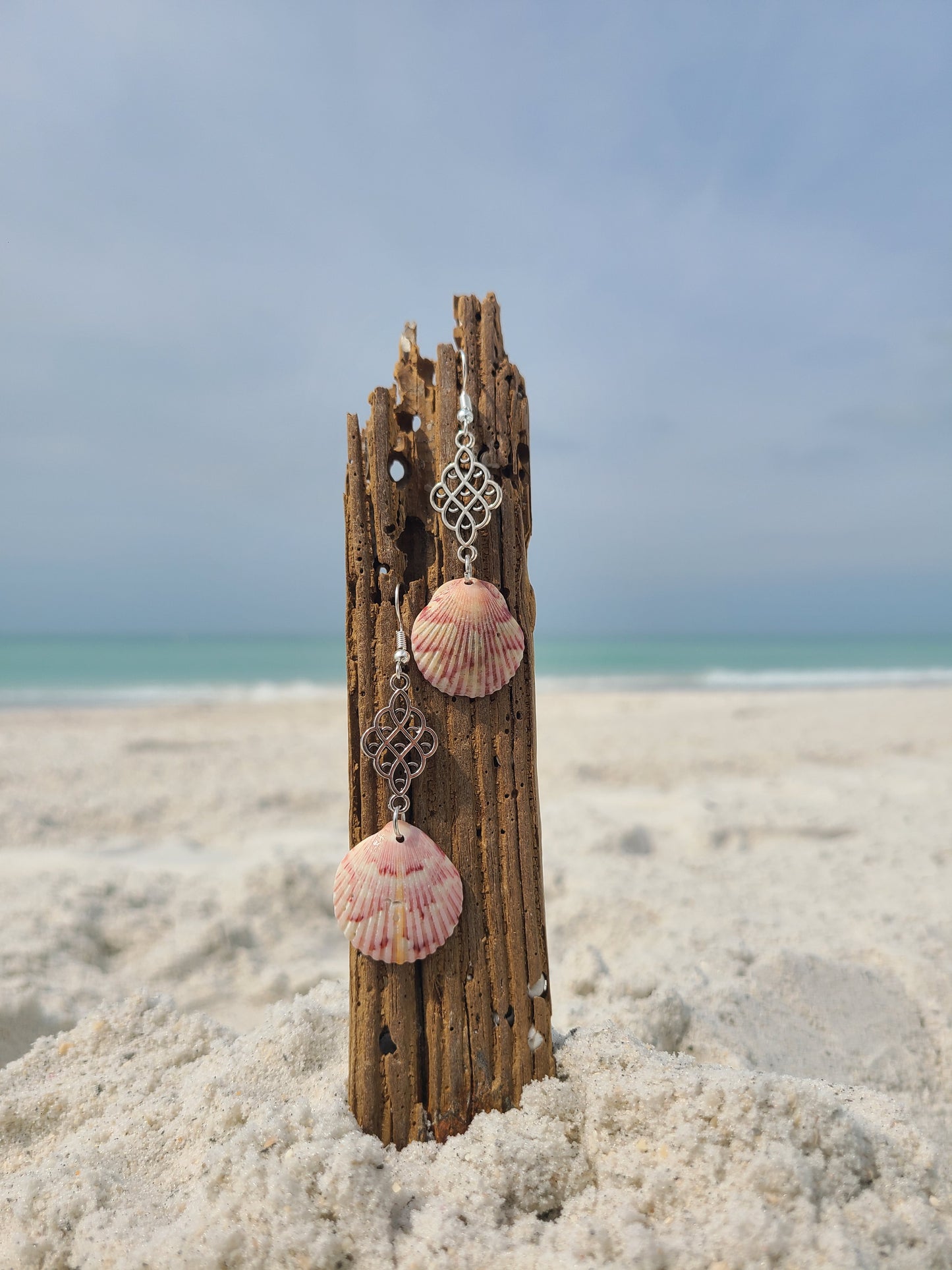 Beautiful Colored Scallop Shell Dangle Earrings