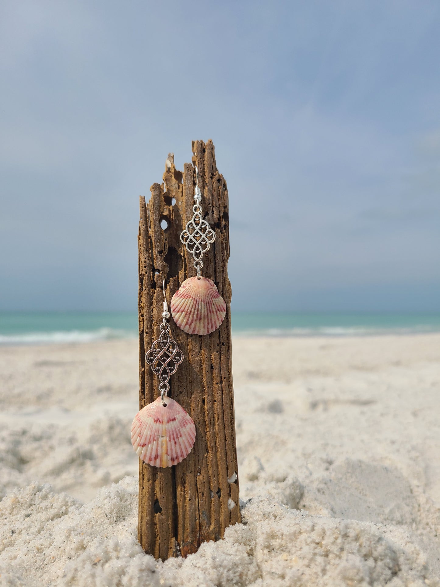 Beautiful Colored Scallop Shell Dangle Earrings