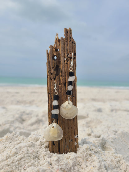 Back and White Jingle Shell Earrings