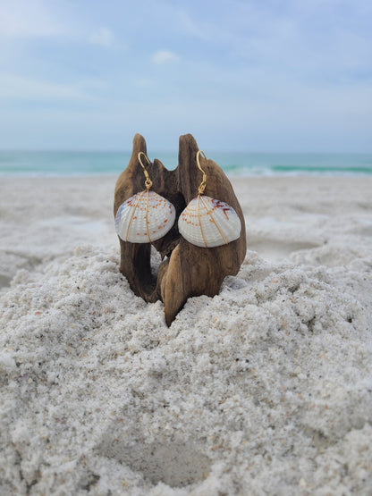 White & Gray Venus Clam Shell Gold Filled Earrings (14kgf)