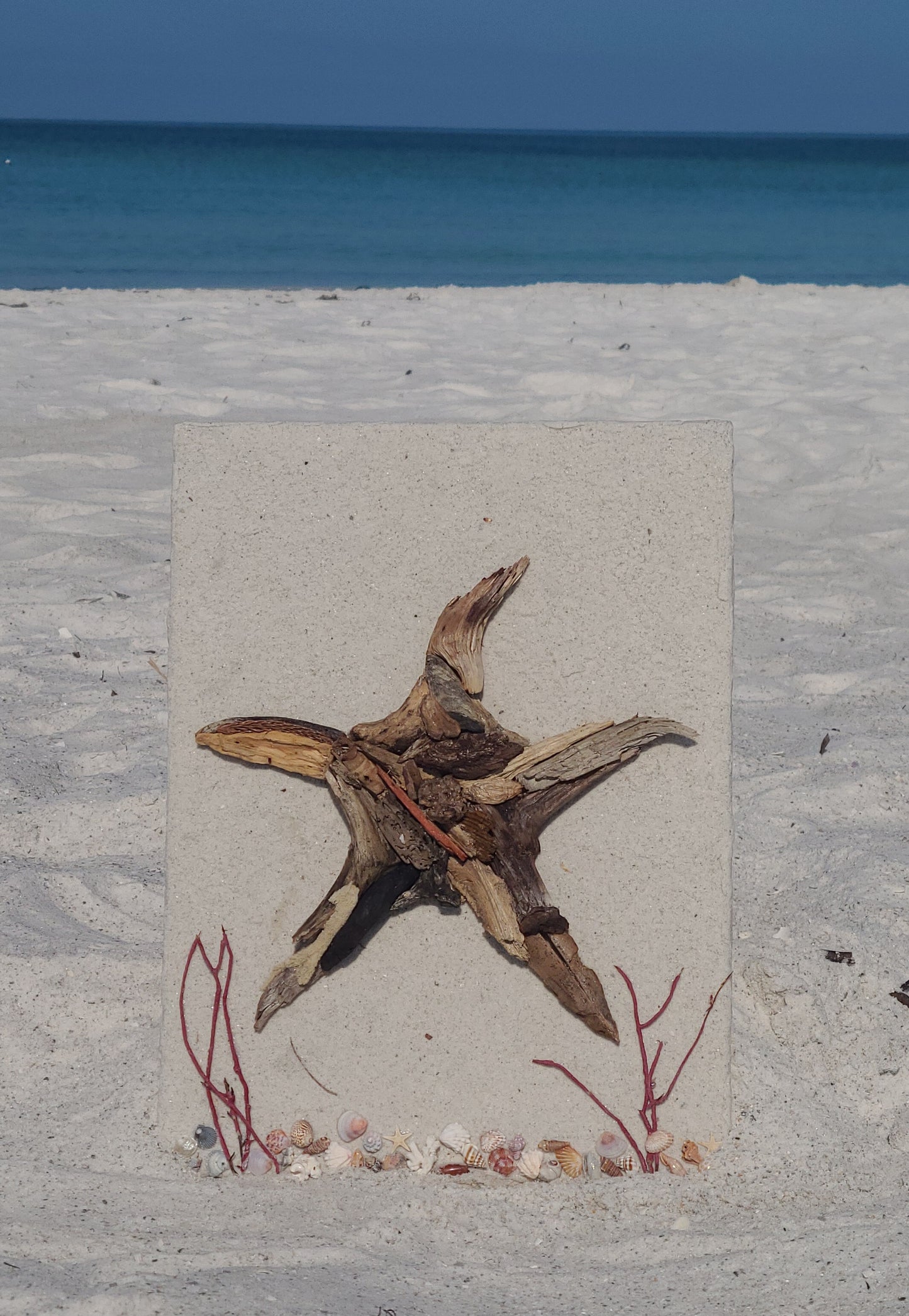 'Starfish' Driftwood Wall Art