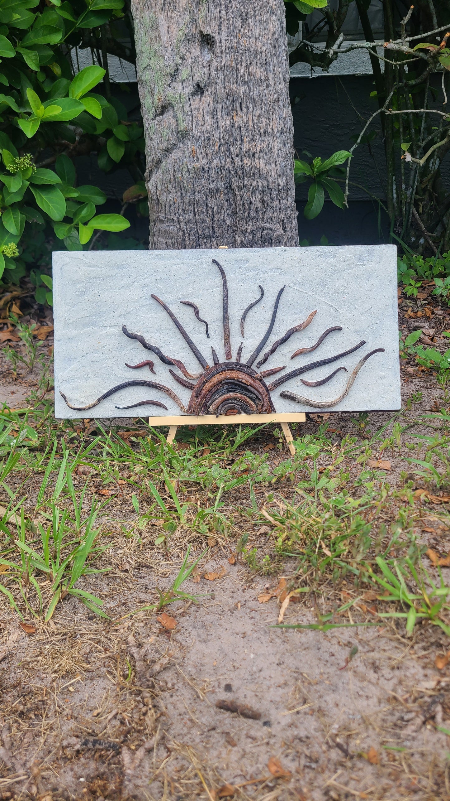 Sea Bean Sun Wall Art