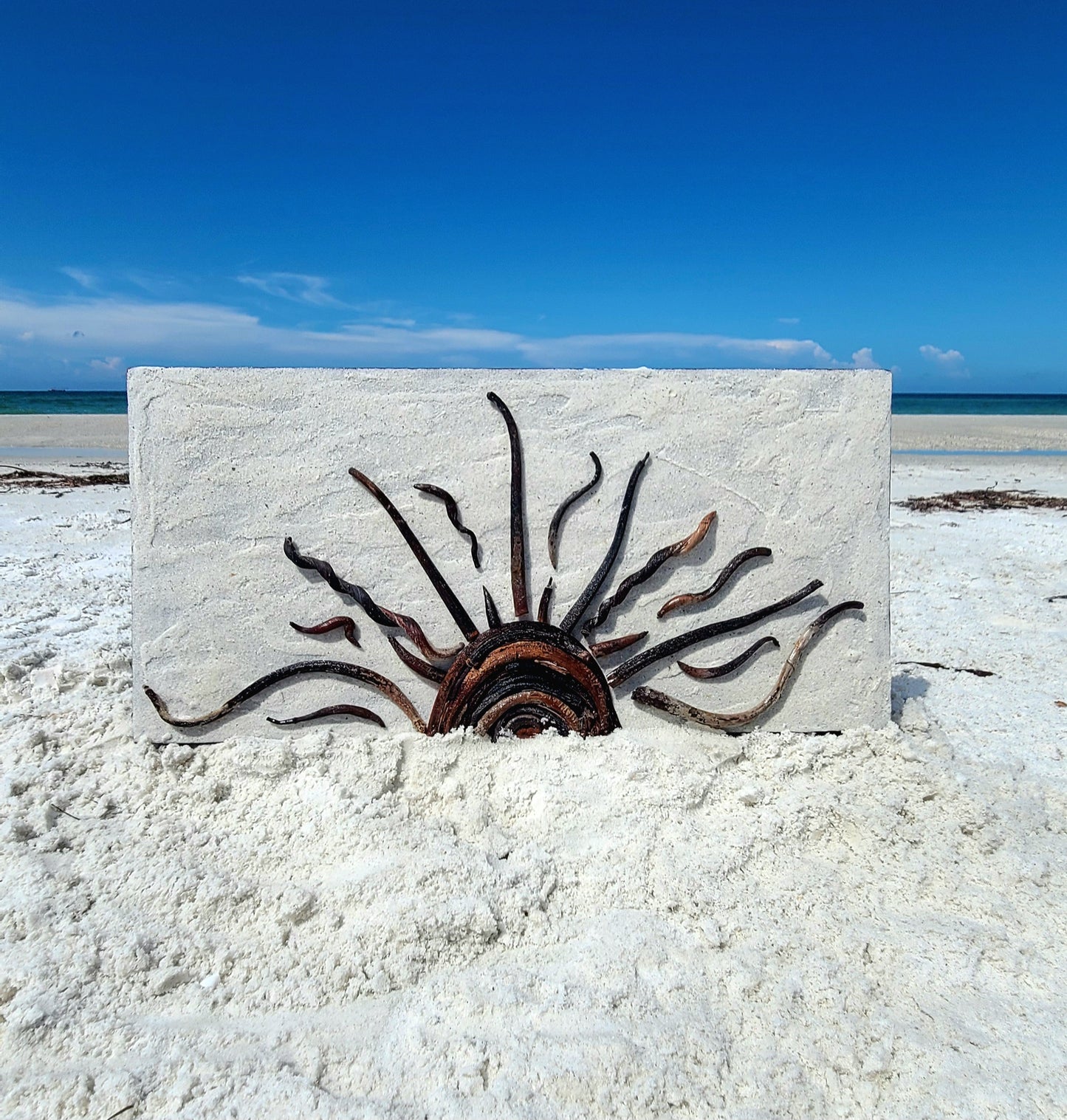 Sea Bean Sun Wall Art