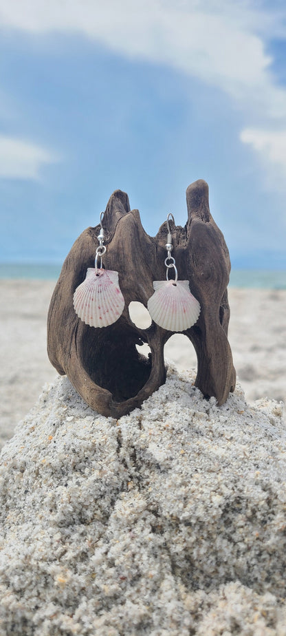 Cream or White Scallop Shell Dangle Earrings