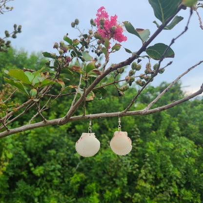 Cream or White Scallop Shell Dangle Earrings