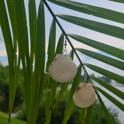 Cream or White Scallop Shell Dangle Earrings