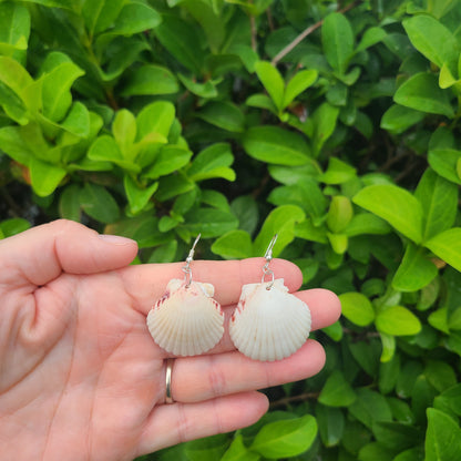 Cream or White Scallop Shell Dangle Earrings