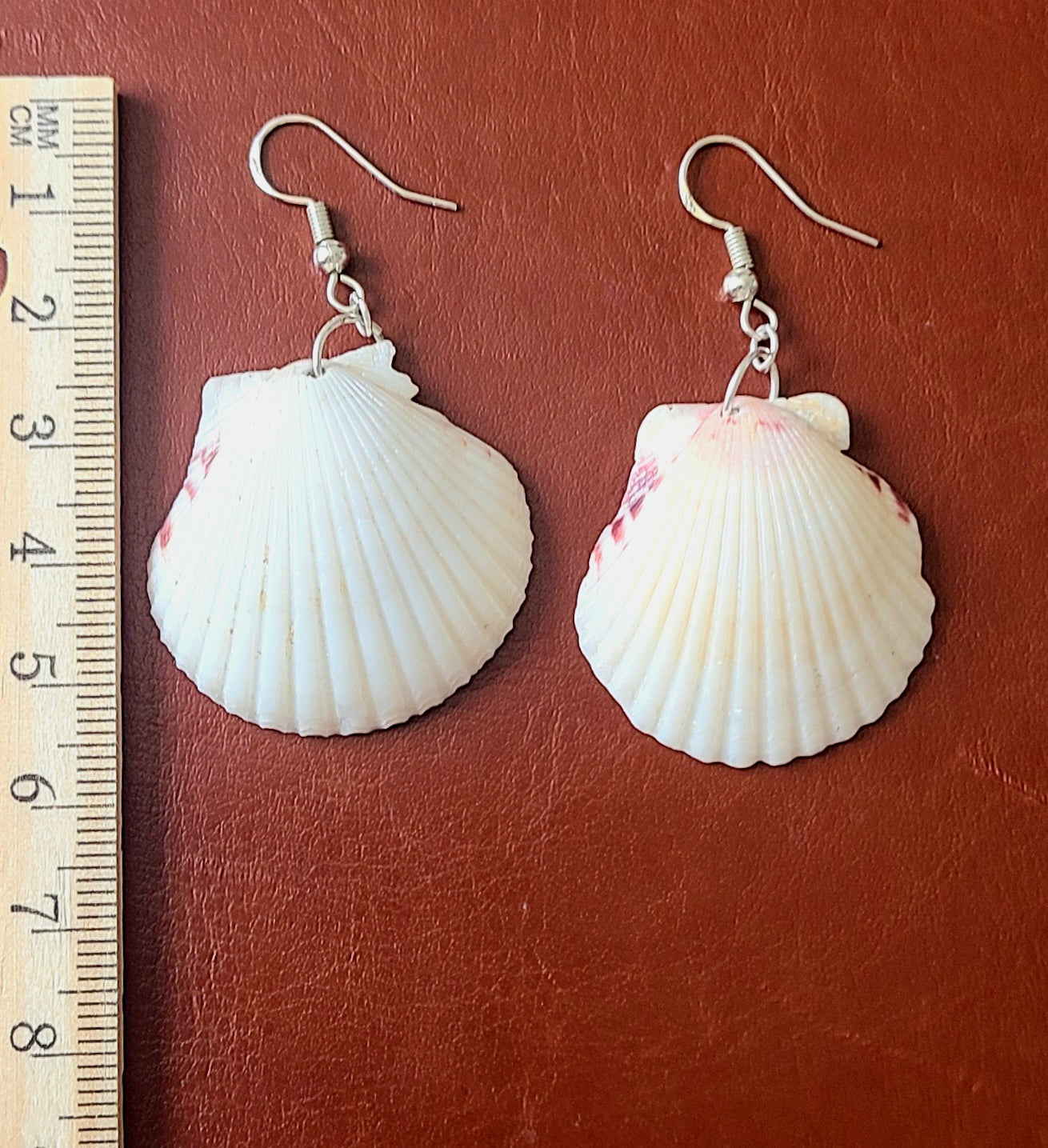 Cream or White Scallop Shell Dangle Earrings