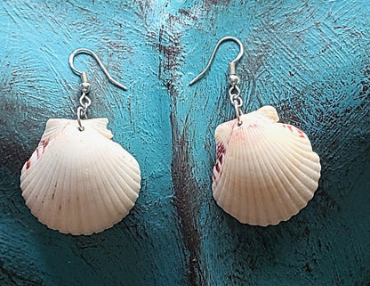 Cream or White Scallop Shell Dangle Earrings