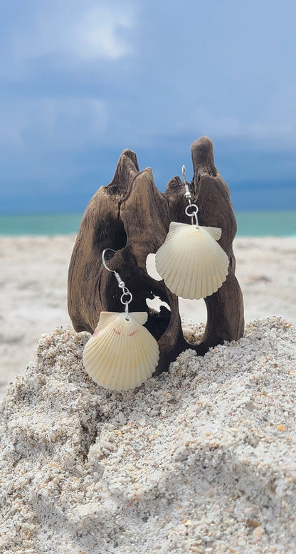 Cream or White Scallop Shell Dangle Earrings