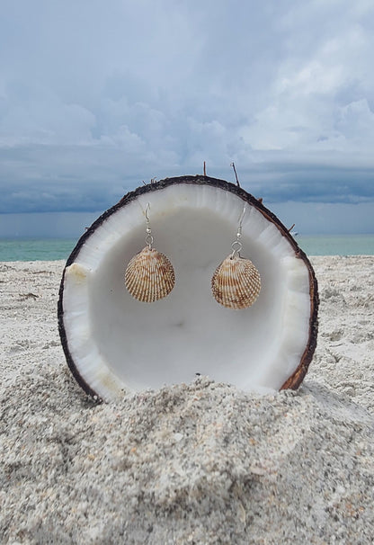 Florida Cockle Shell Drop Earrings