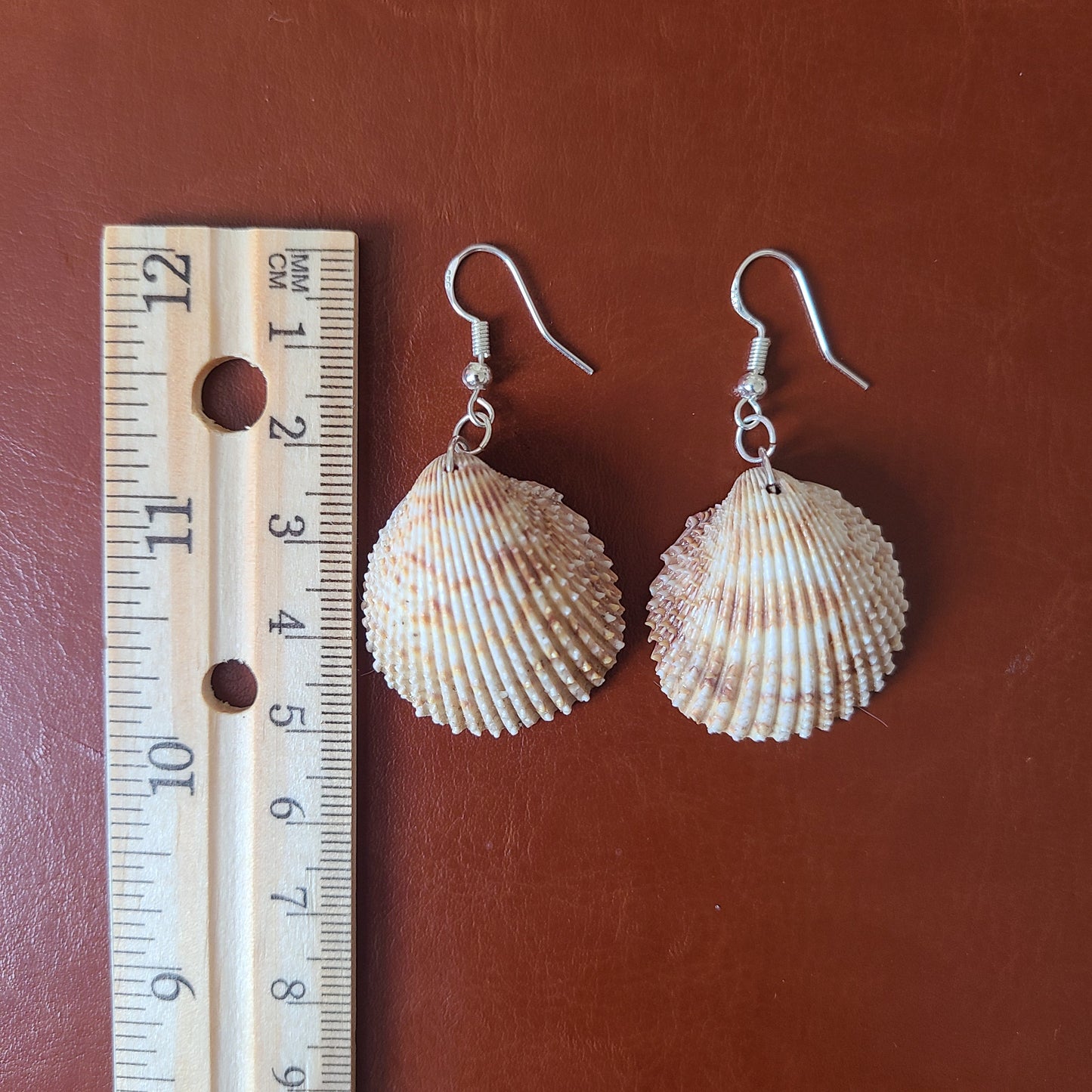 Florida Cockle Shell Drop Earrings