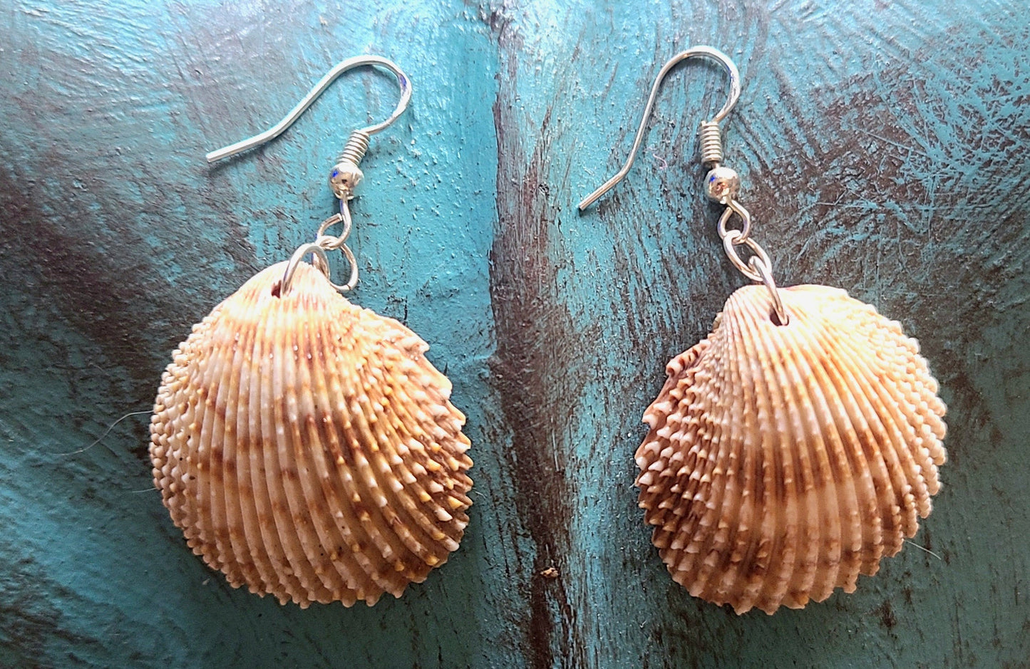 Florida Cockle Shell Drop Earrings