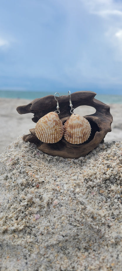 Florida Cockle Shell Drop Earrings