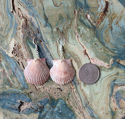 Burnt Orange Bay Scallop Shell Drop Earrings