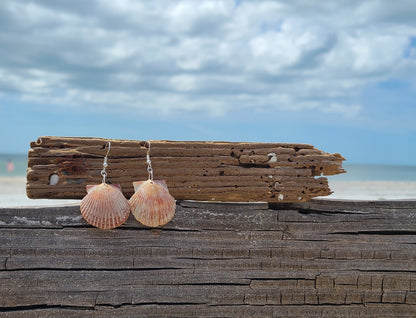 Burnt Orange Bay Scallop Shell Drop Earrings