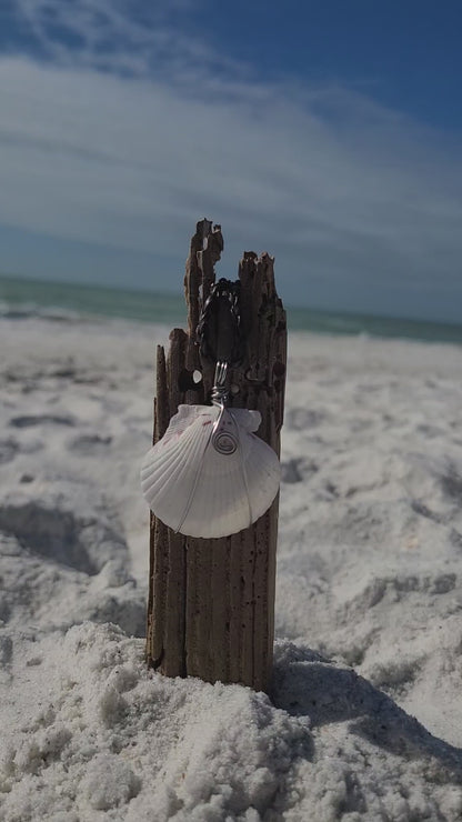 Stunning Scallop Shell Necklace