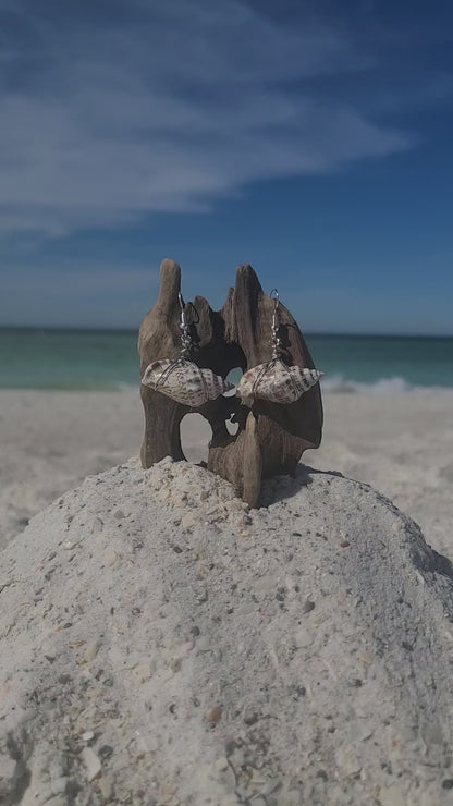 Simple Florida Rock Snail Earrings