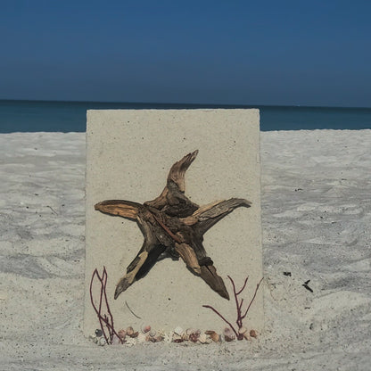 'Starfish' Driftwood Wall Art